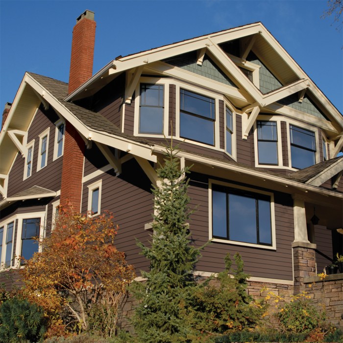 Top 5 Vinyl Siding Contractors in Ottawa